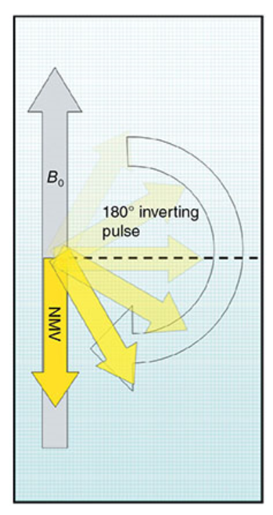 <p>What does this image show?</p>