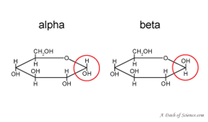 <p>epimers at an anomeric carbon atom <br><br>alpha is a fish and fish goes down. (OH DOWN) <br>beta (OH UP) <br><br>when you think of alpha and beta for sterochemistry, think of anomers and the alpha and beta shit.</p>