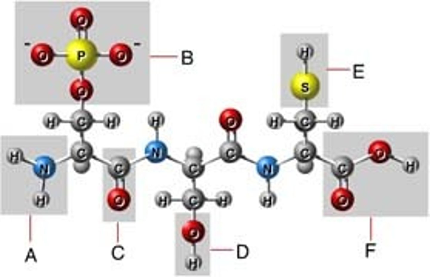 <p>the components of organic molecules that are most commonly involved in chemical reactions</p>