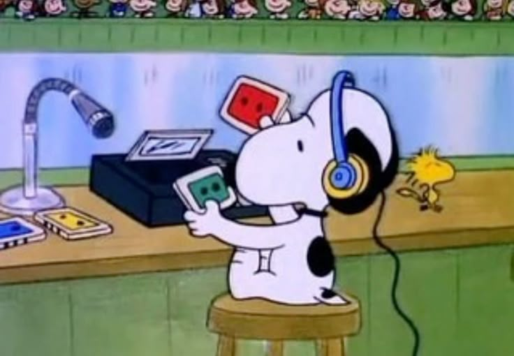 <p>listen to the radio</p>