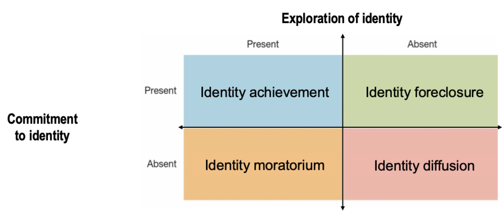 <p>identity achievement, identity foreclosure, identity moratorium, identity diffusion</p>