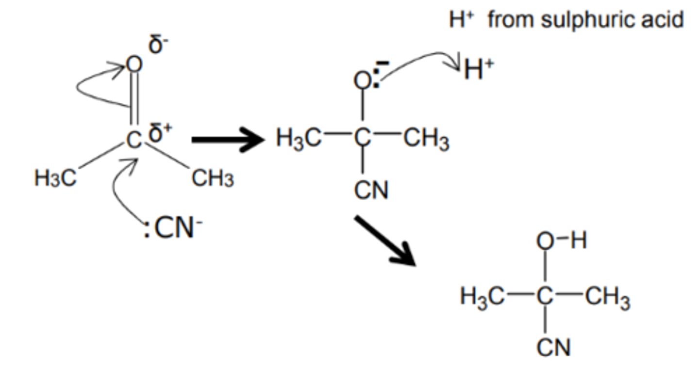 <p>nucleophilic addition</p>