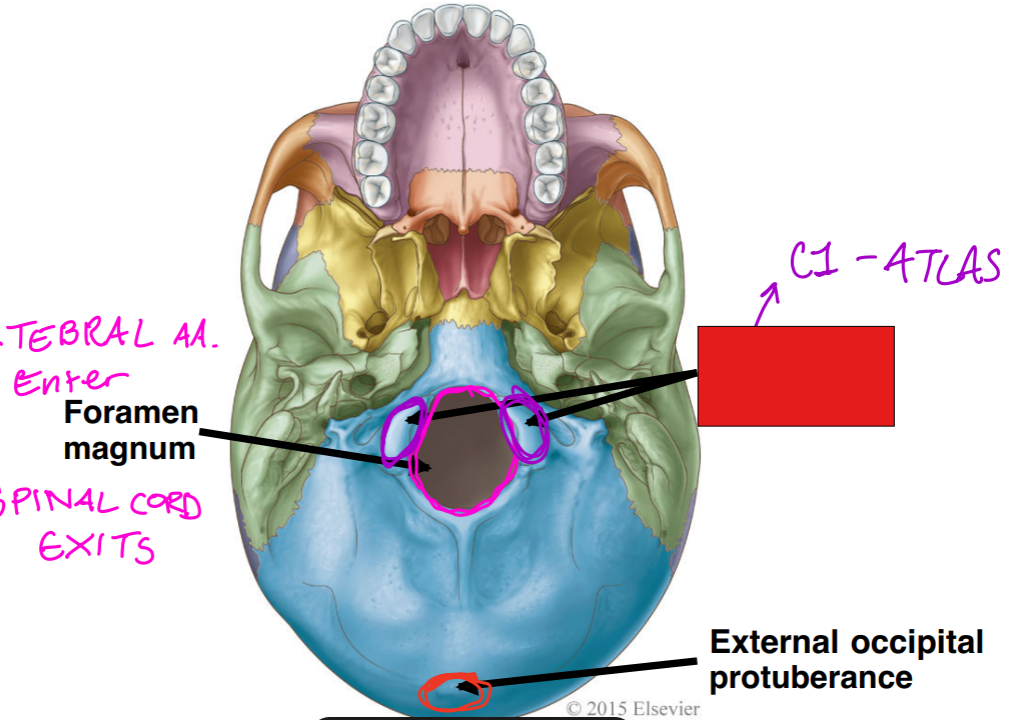 <p>fill in the red box:</p>