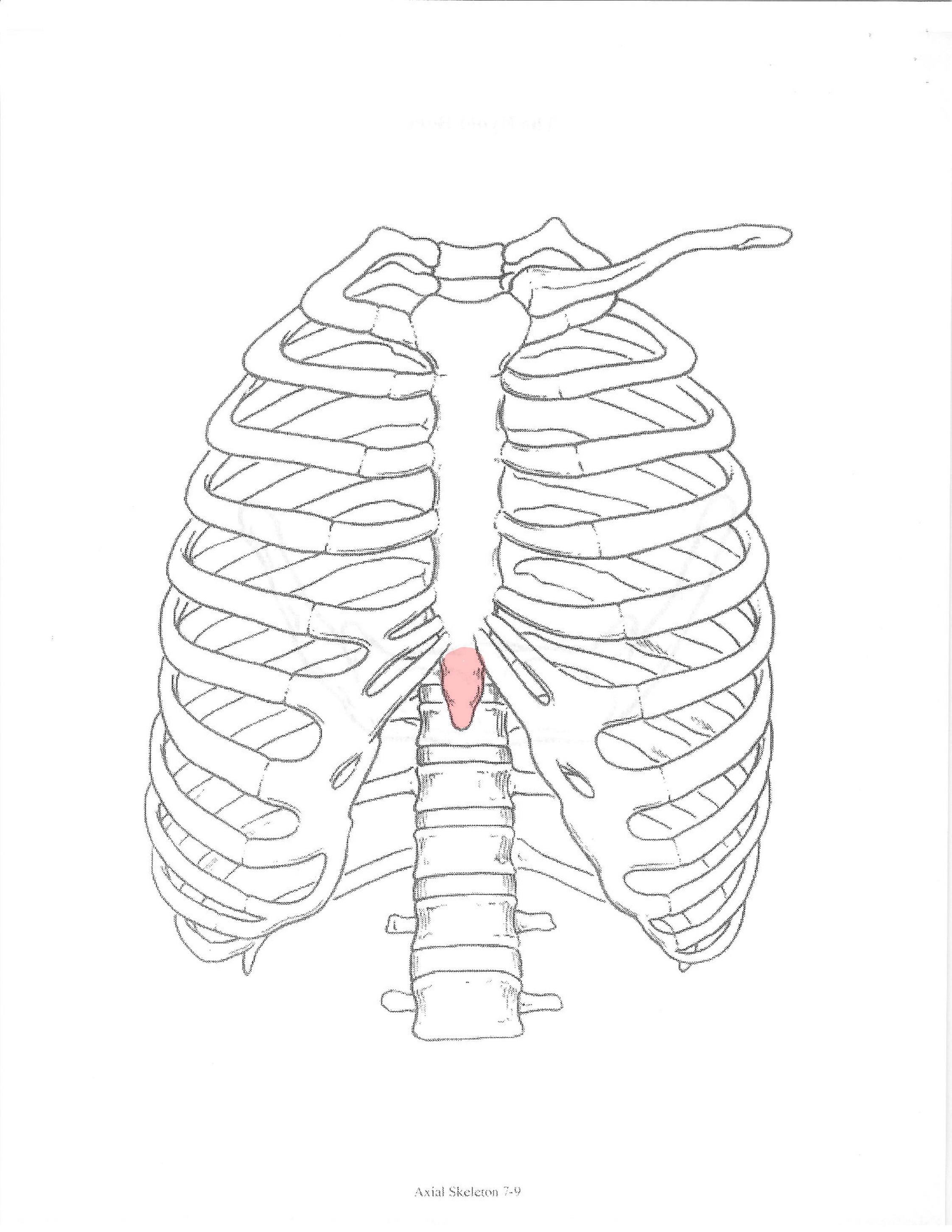 <p>ID feature</p>
