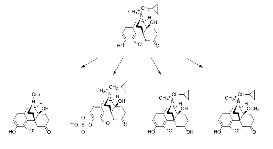 <p>If taken orally, which of the following first pass metabolic transformations produces an active metabolite that is able to penetrate the BBB?</p>