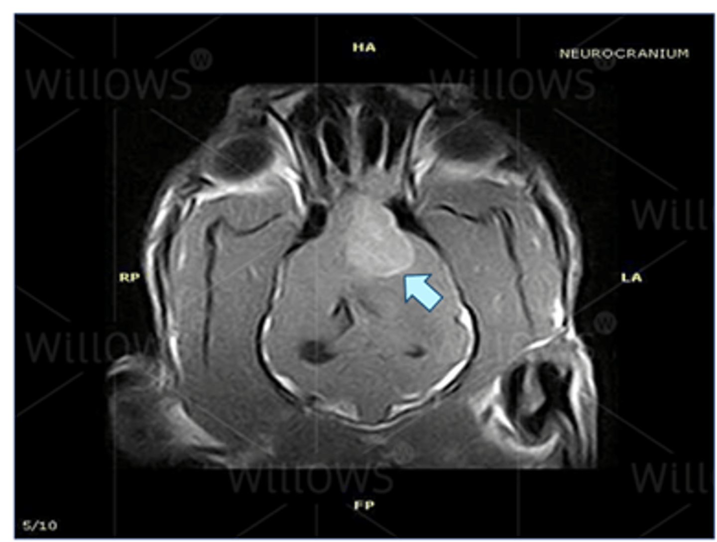 knowt flashcard image