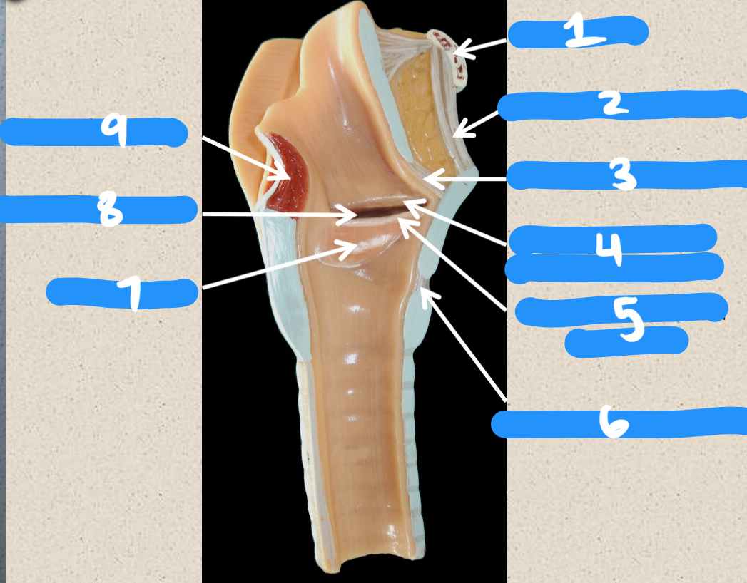 <p>1-5</p>