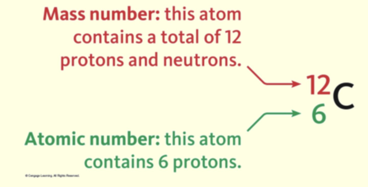 <p>identifies the element and shows the mass and atomic number of an atom</p>