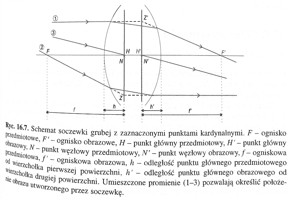 <p>ulega przesunięciu</p>