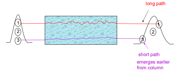 <p>Bandspreading occurs as sample particles have multiple flow paths through the column.</p><ul><li><p>Can be reduced by using smaller stationary phase particles.</p></li><li><p>Effect is absent in open tubular columns.</p></li></ul><p></p>