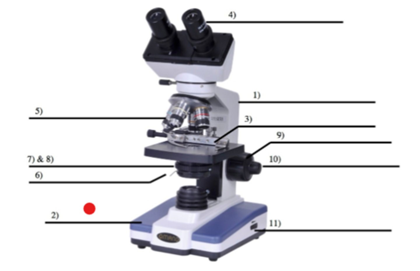 <p>2</p><p>- Used to carry the microscope (supporting)</p>