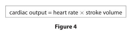 <p>Figure&nbsp;4 shows the equation for cardiac output. Explain how caffeine changes the cardiac output of the Daphnia. (4) </p>