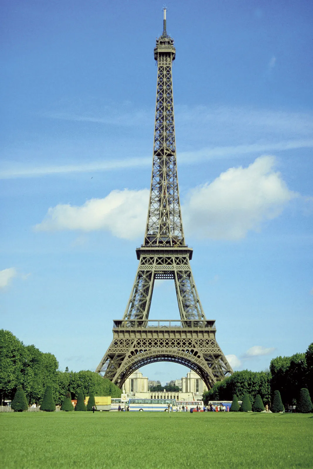 term image