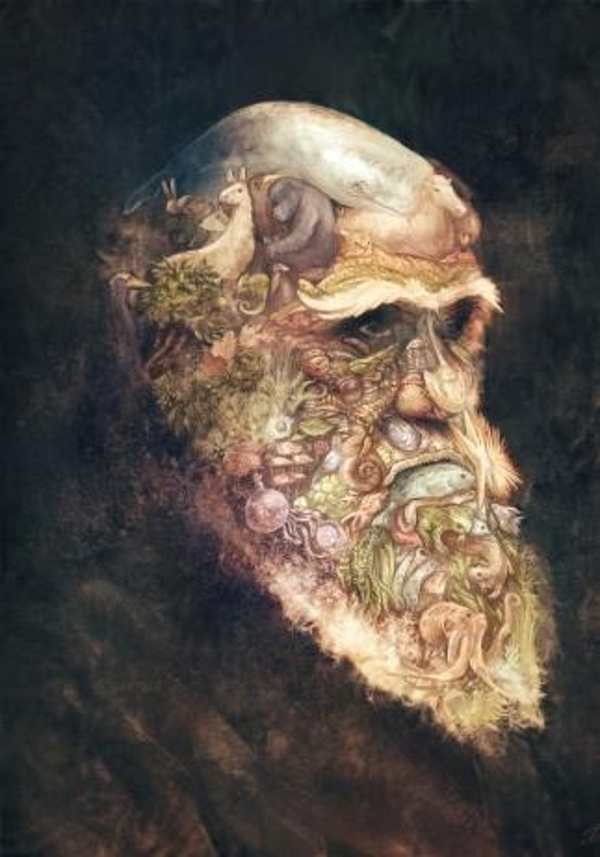 <p>It suggests that as environments change, species must adapt and evolve into new forms.</p>