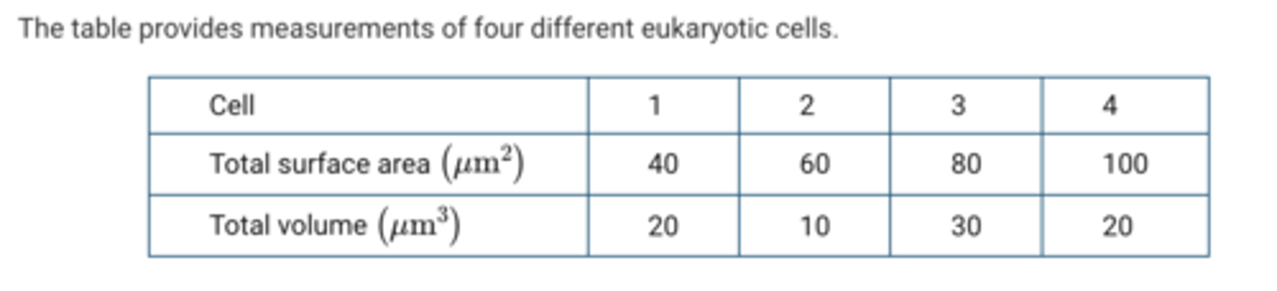 <p>Some cells, such as intestinal cells, exchange a lot of material with their surroundings. The surface-to-volume ratio of these cells affects the efficiency of material exchange.<br><br>Based on the data, which cell is likely to be most effective in the exchange of materials?</p>