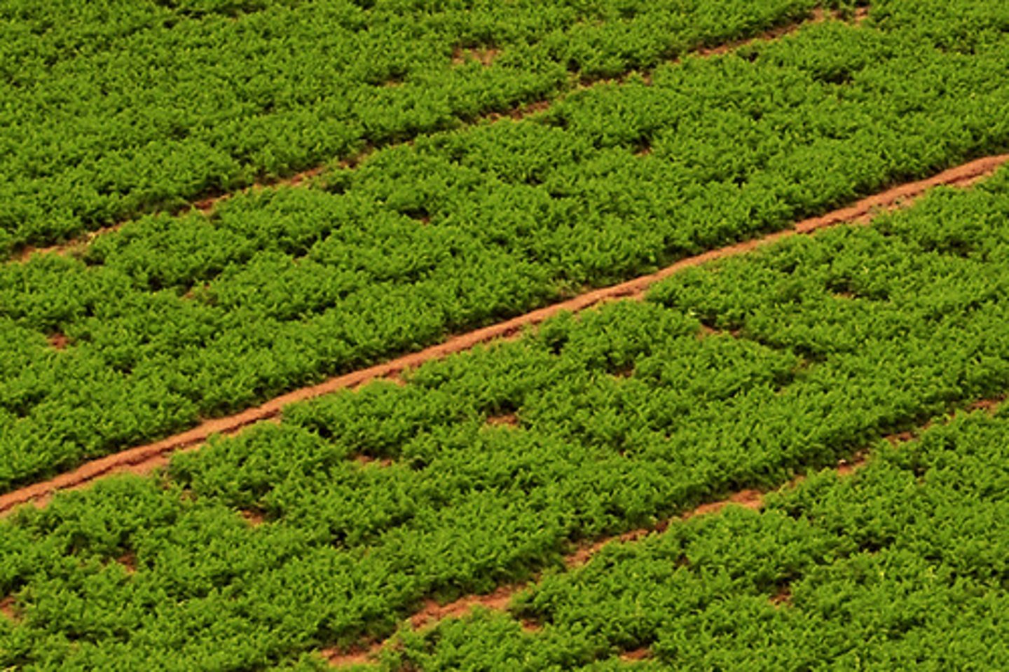 <p>Improved farming methods</p>
