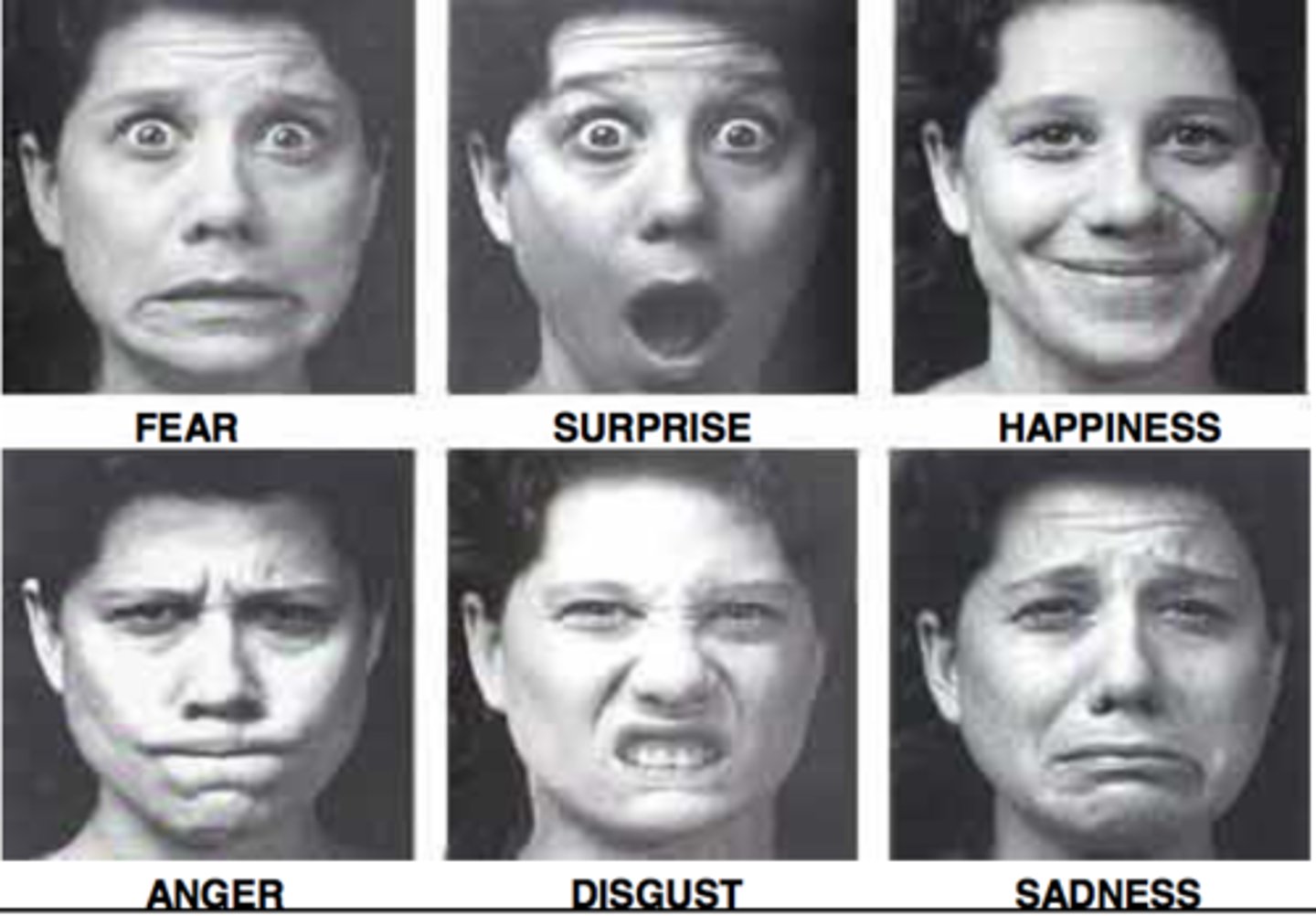 <p>outward signs that an emotion is occurring</p>