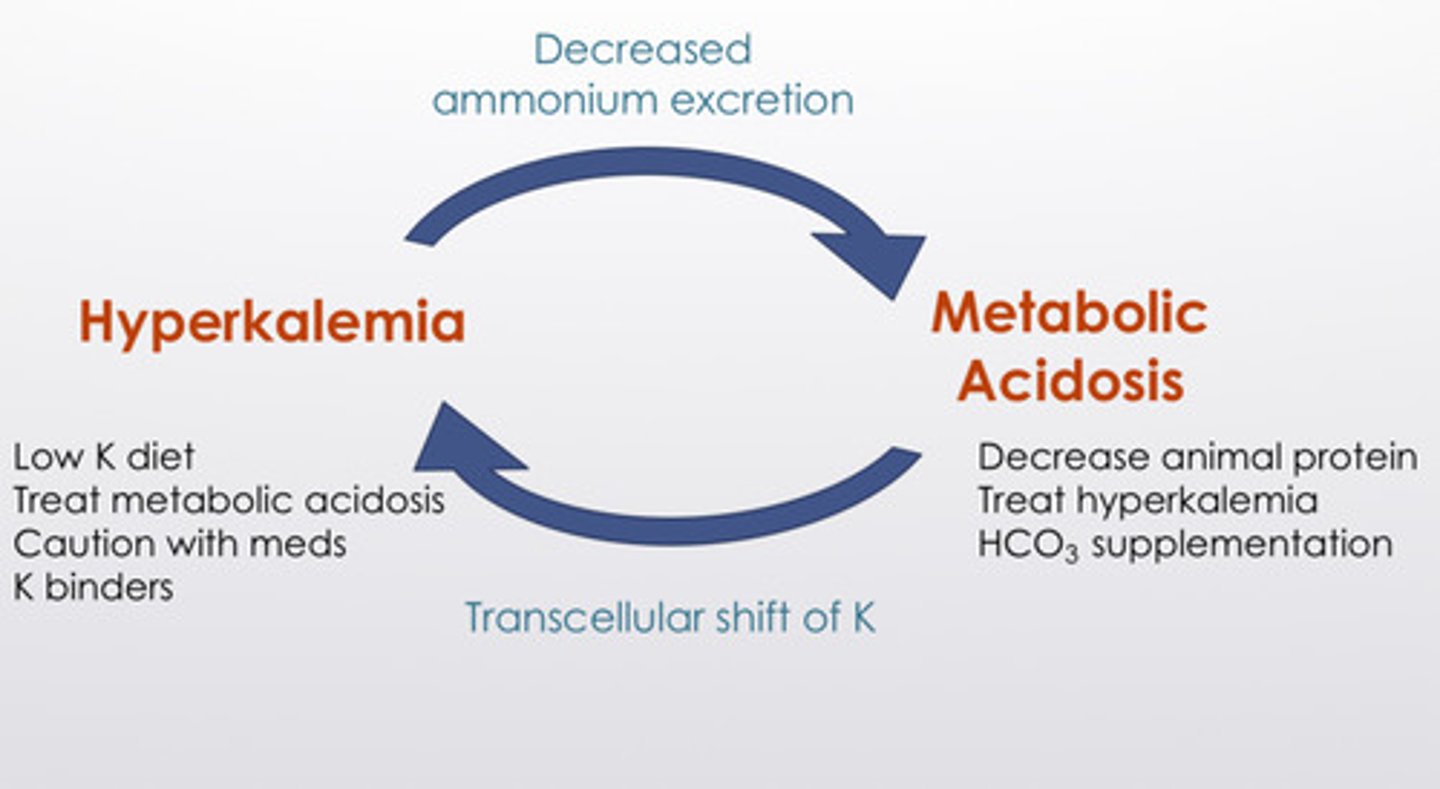 <p>hyperkalemia: low K diet, treat metabolic acidosis, caution with medications, K binders</p><p>metabolic acidosis: decrease animal protein, treat hyperkalemia, HCO3 supplementation</p>
