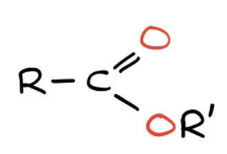 <p>What functional group is this?</p>