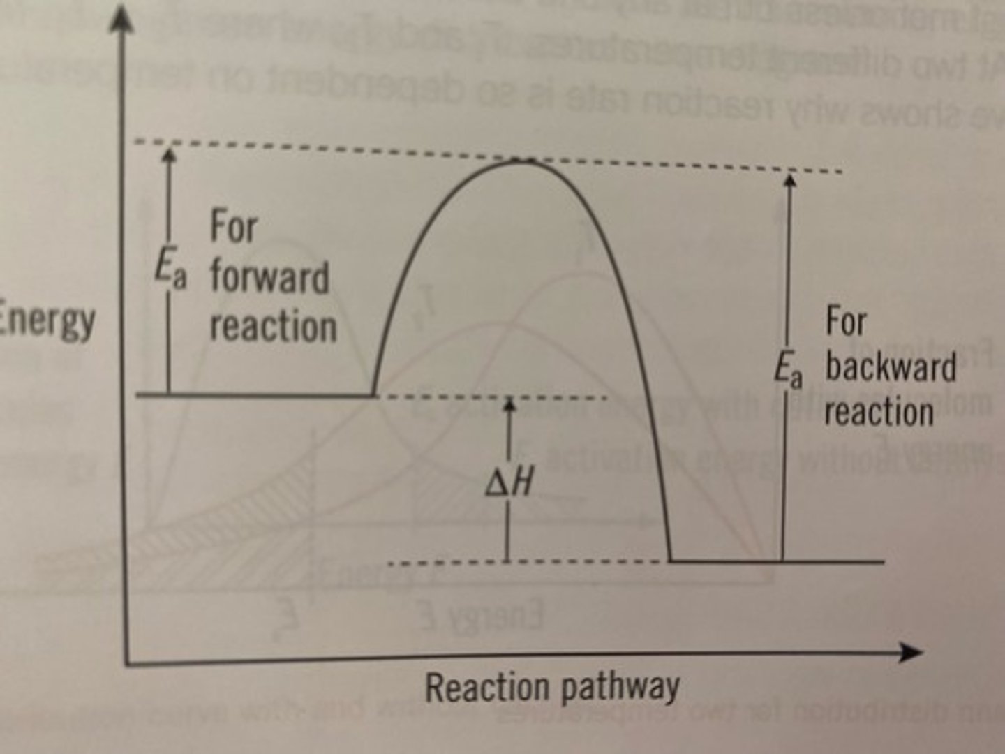 <p>Energy needed to get a reaction started</p>