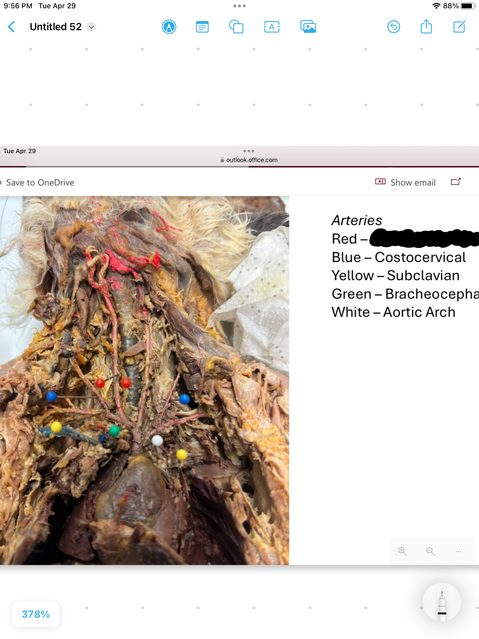 <p>label the area</p>