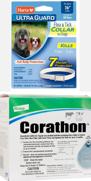 <p>Organophosphates Mechanism of Action</p>