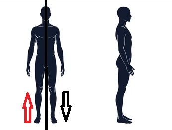 <p>What direction is the BLACK arrow pointing?</p>