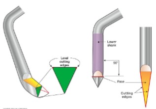 <p>Sickle scaler has what kind of working end?</p>