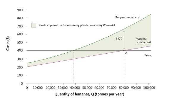 <p>Price = Marginal Social Cost</p>