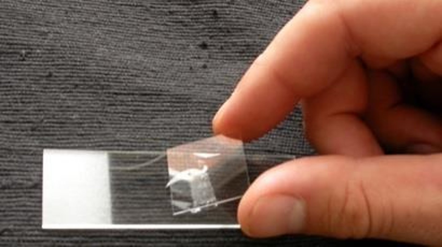 <p>To protect the specimen and improve the clarity of the image.</p>