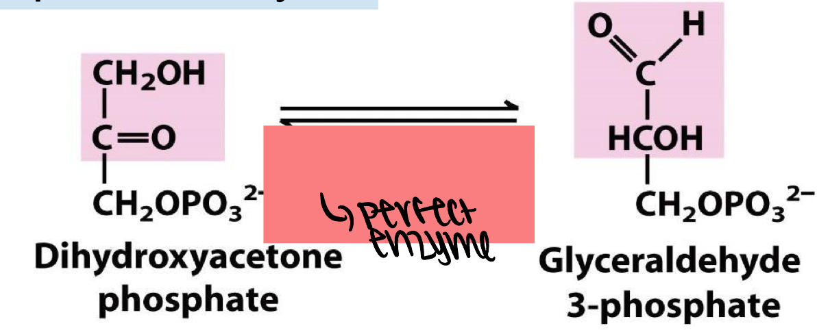 <p>perfect enzyme. </p>
