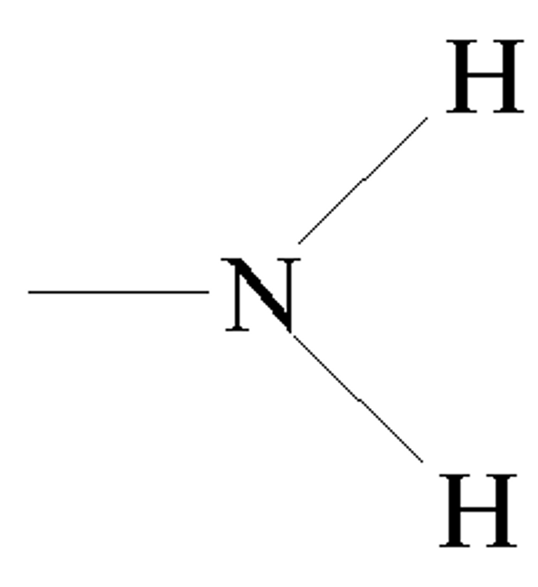 <p>-protiens<br>-nucelic acids</p>