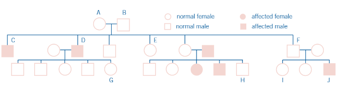 <p>what is a way to trace the inheritance of sex-linked characteristics?</p>