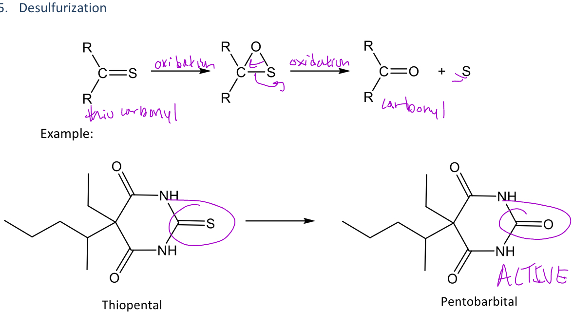 <p>A type of reaction in phase 1 metabolism that <em>converts the sulfur of a thiocarbonyl into a carbonyl with an oxygen</em> </p><p>Ex. thiopental contains a thiocarbonyl and when it undergoes desulfurization, the sulfur is converted to an oxygen (which is shown in the image as the middle carbonyl)</p>