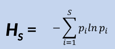 <p>Relative abundance of each species = pi = ni / N</p><p>• In the absence of diversity, where only one species is present, H_S = 0</p><p>• H_max = ln S, occurs when all species are present in equal numbers</p><p>Values for real communities often fall between 1.5 and 3.5, with the higher the value, the greater the diversity.</p><p>This index is very valuable to conservation biologists, who often study rare species and their importance to the community</p><p>Tells you certainty of guessing next species: PPPP_ is easier than LMTS_</p>