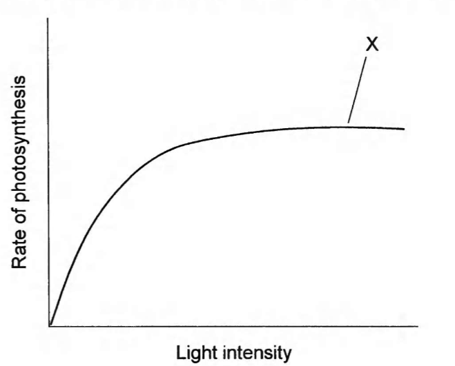 <ol start="9"><li><p>The graph shows the effect of increasing light intensity on teh rate of photosynthesis during an experiment carried out at optimum temperature and normal atmospheric CO<sub>2</sub> concentration. Which factor could be limiting photosynthesis at point X? </p></li></ol><p></p>