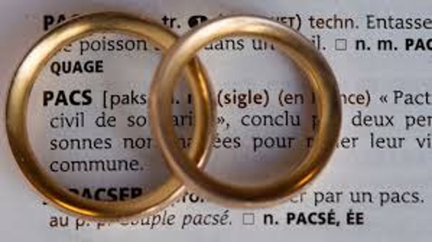 <p>to enter into a civil partnership</p>