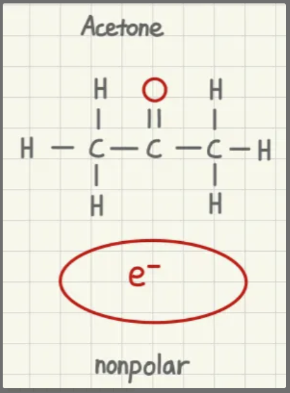 <p>nonpolar</p>