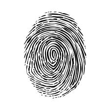 <p>Finger print types that form a swirl shape </p>