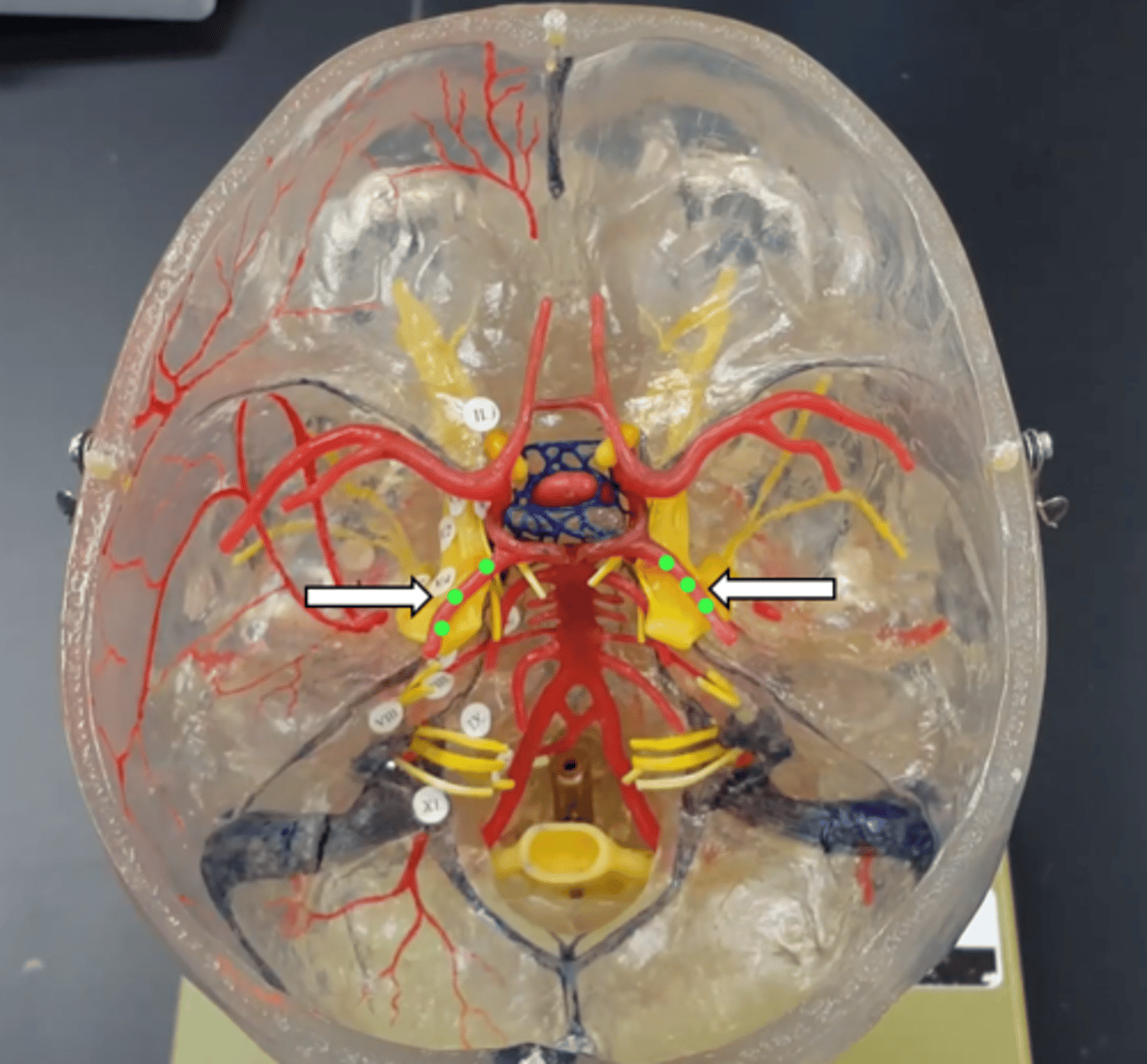 <p>name the structure</p>