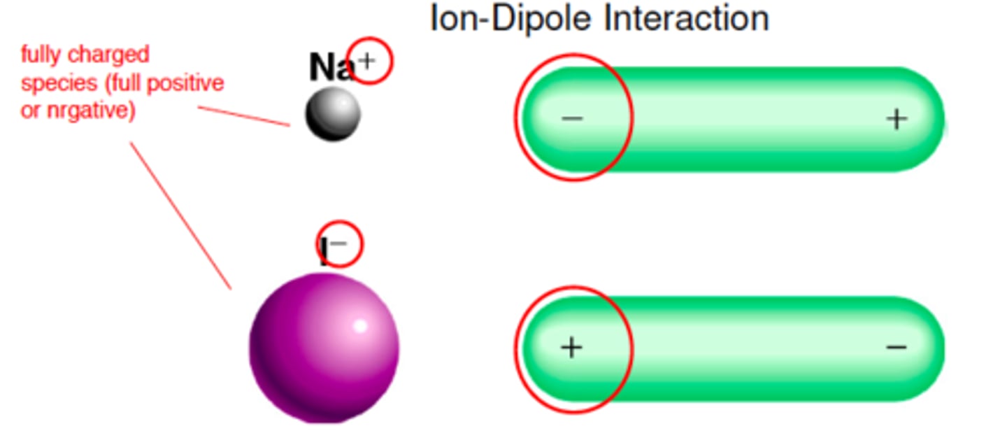 <p>forces between a fully charged species (ion) and a dipole by electrostatic attraction.</p><p>Increase in strength with increase in charge or decrease in size of ion</p><p>(how ions are dissolved in water- attract to the H2O and pulled away by electrostatic charge)</p>