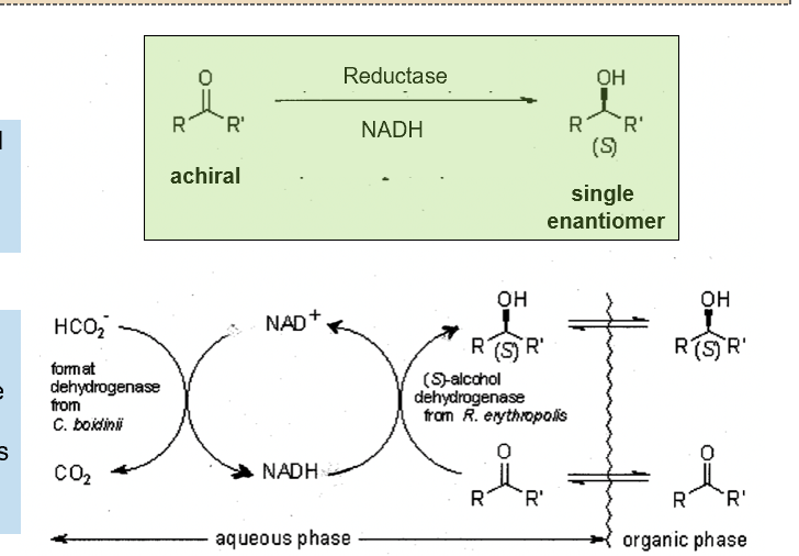 <p><span>Esterases, reductases and other enzymes are often able to distinguish between enantiomers and can create single enantiomers. This allows:</span></p><p><span>•Separation of racemic mixture by modifying only one enantiomer</span></p><p><span>•Creating a single enantiomer from an achiral starting molecule</span></p>