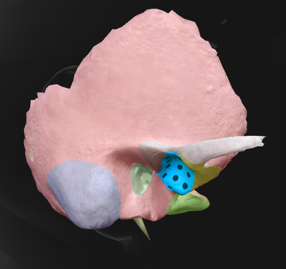 term image