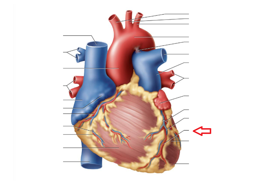 <p></p>