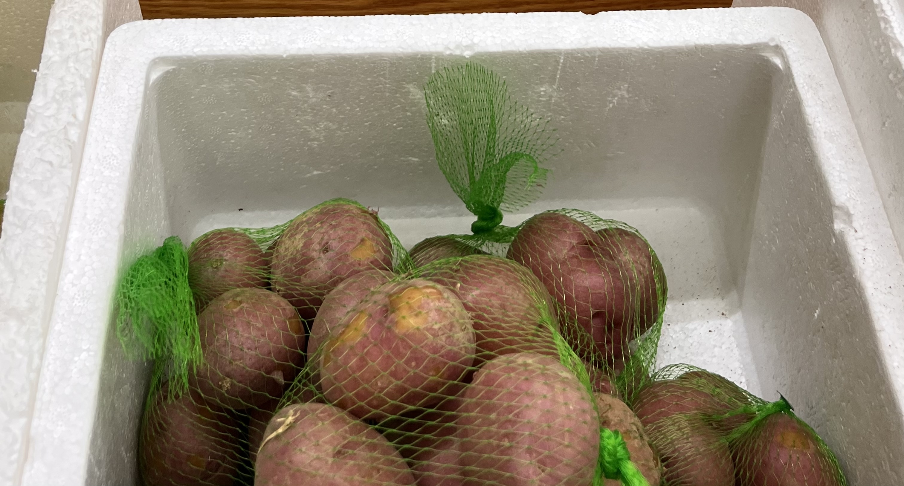 <p>RED POTATO</p>