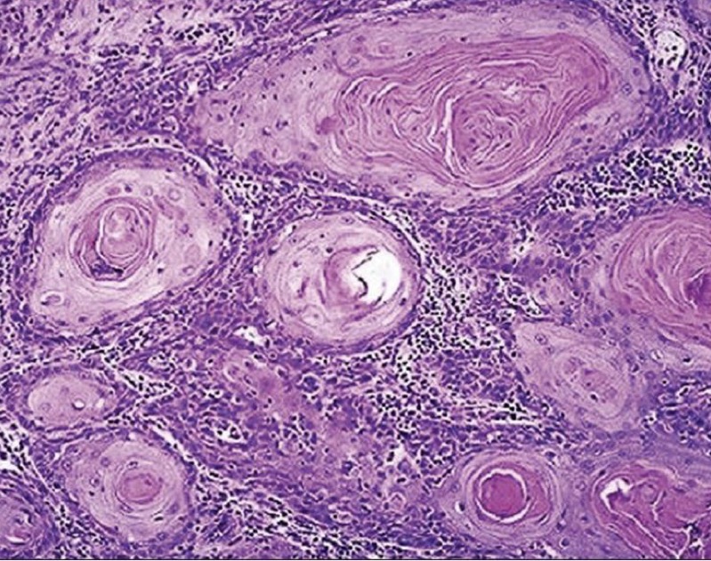 <p>A- identify</p><p>B- describe</p><p>C- originate from ?</p>