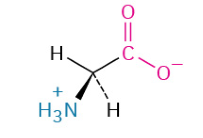 <p>Simplest amino acid, with just a hydrogen atom as its side chain, providing flexibility to protein structures. It can be found on the inside or outside of proteins.</p><p><u><mark data-color="#fff2d8" style="background-color: rgb(255, 242, 216); color: inherit;">Nonpolar, Nonaromatic </mark></u></p>