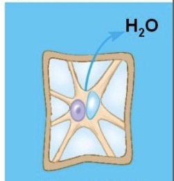 <p>What is that?</p>