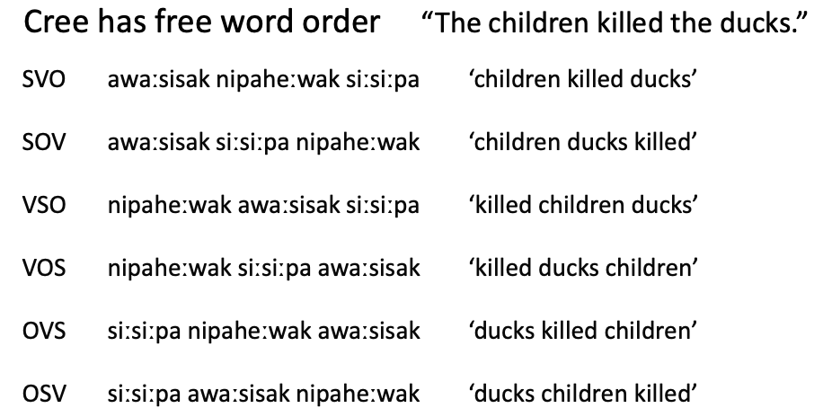 <p>Word Order</p><ul><li><p>Cree has free word order</p></li></ul><p></p>