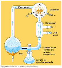 <p>what <mark data-color="green">gases</mark> were used in the miller-urey experiment?</p>